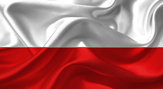grafika- Flaga Polski