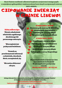 plakat informacyjny - czipowanie zwierząt w Gminie Lisewo