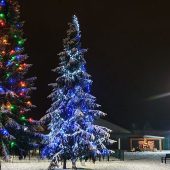 Na zdjęciu choinki ozdobione kolorowymi lalmpkami świątecznymi.