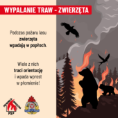 Grafika informacyjna pożar trawy