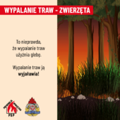 Grafika informacyjna pożar trawy